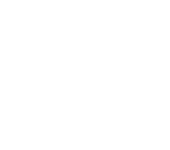 AMS-Geek-Icon-WHITE