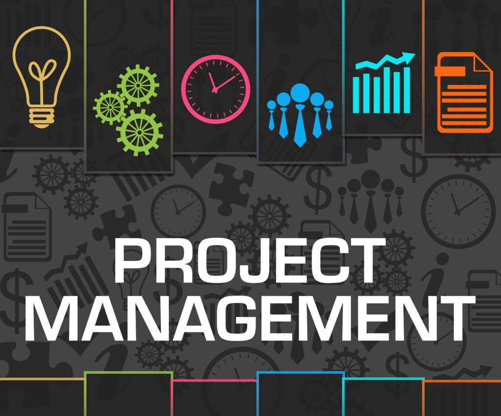 Navigating the AMS Waters: The Benefits of an External Project Manager ...