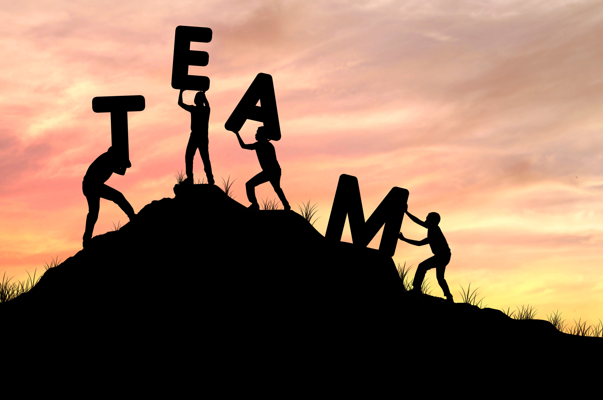 The Full Life-Cycle of Implementing a New AMS